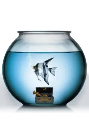 Постер к фильму "Рыбка по имени Ванда" #232622