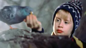 Задник к фильму "Один дома 2: Затерянный в Нью-Йорке" #567443