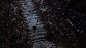 Задник к фильму "" #746621