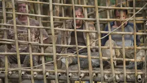 Задник к фильму "Рэмбо IV" #268897