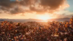 Задник к фильму "Хоббит: Пустошь Смауга" #584499