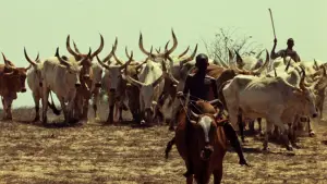 Задник к фильму "Туки-Буки" #724559