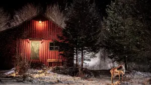 Задник к фильму "" #429117