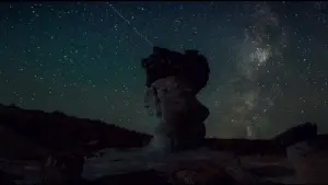 Задник к фильму "Плохая партия" #336659