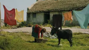 Задник к фильму "Банши Инишерина" #693706