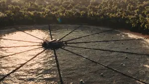 Задник к фильму "Голодные игры: И вспыхнет пламя" #625090