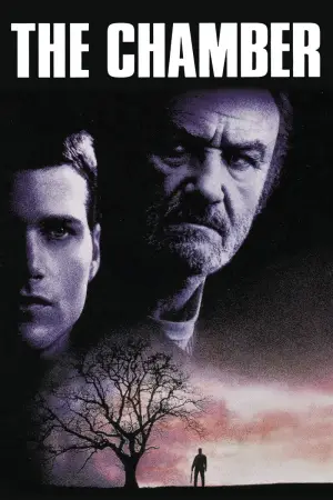 Постер к фильму "Камера" #906078