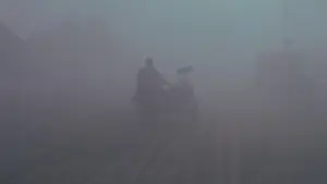 Задник к фильму "Иди и смотри" #930080