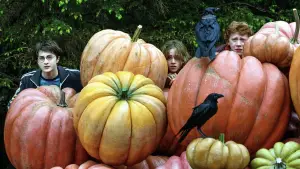 Задник к фильму "Гарри Поттер и узник Азкабана" #546495