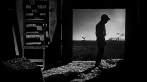 Задник к фильму "Ночь охотника" #675812