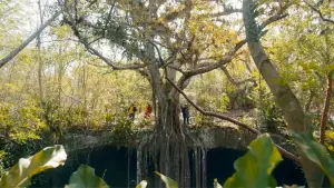 Задник к фильму "Underland" #769108