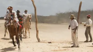 Задник к фильму "Перелётные птицы" #469423