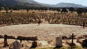 Задник к фильму "Хороший, плохой, злой" #582099