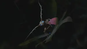 Задник к фильму "" #482089