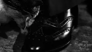 Задник к фильму "Третий человек" #699980