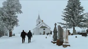 Задник к фильму "Простой план" #678036