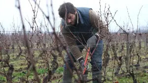 Задник к фильму "Возвращение в Бургундию" #255075