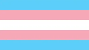 Видео к фильму The British Media & Transphobia | The British Media & Transphobia