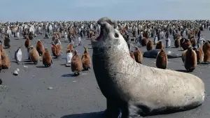 Задник к фильму "" #484816