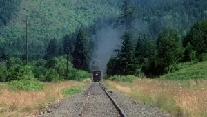 Задник к фильму "Останься со мной" #503526