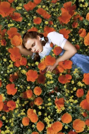 Постер к фильму "Волшебник страны Оз" #523936