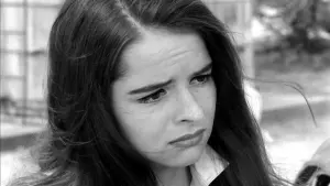 Задник к фильму "Быстрая Кошечка! Убей, Убей!" #467238