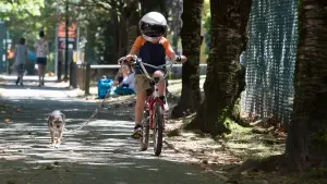 Задник к фильму "Чудо" #601027