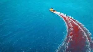 Задник к фильму "Хищные твари" #552653