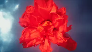 Задник к фильму "Мегаполис" #595833