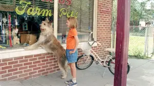 Задник к фильму "Благодаря Винн Дикси" #467116