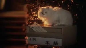 Задник к фильму "Дом" #731699