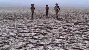 Задник к фильму "3 крестных отца" #455317