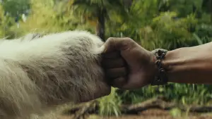 Задник к фильму "Рэмпейдж" #598880