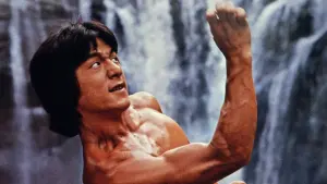 Задник к фильму "Последнее испытание Шаолиня" #400202