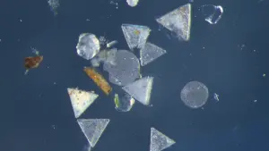 Задник к фильму "" #401885