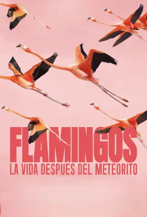 Постер к фильму "Flamingos: La vida después del meteorito" #772284