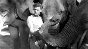 Задник к фильму "Тарзан, человек-обезьяна" #356275