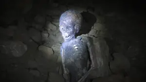 Задник к фильму "" #541966