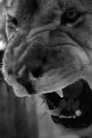 Постер к фильму "" #465843