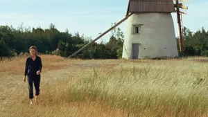 Задник к фильму "Остров Бергмана" #387146