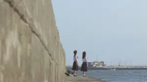Задник к фильму "セーラー服 百合族" #928614