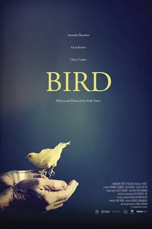Постер к фильму "Bird"