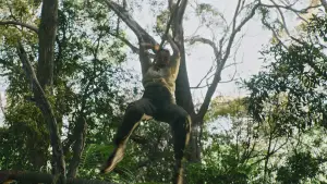 Задник к фильму "Пришлите помощь" #507575