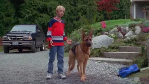 Задник к фильму "Зловещая луна" #424498