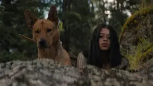 Задник к фильму "Добыча" #626124