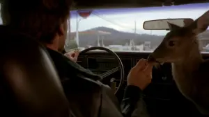 Задник к фильму "Взрыватель" #492802