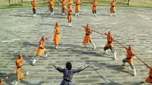 Задник к фильму "Астральное кунг-фу" #387529