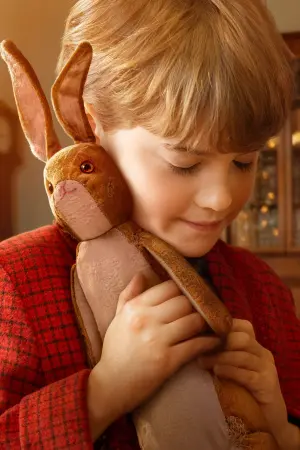 Постер к фильму "Плюшевый кролик" #317642