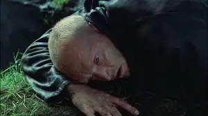 Задник к фильму "Сталкер" #734095