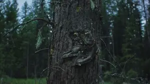 Задник к фильму "Сны поездов" #514906